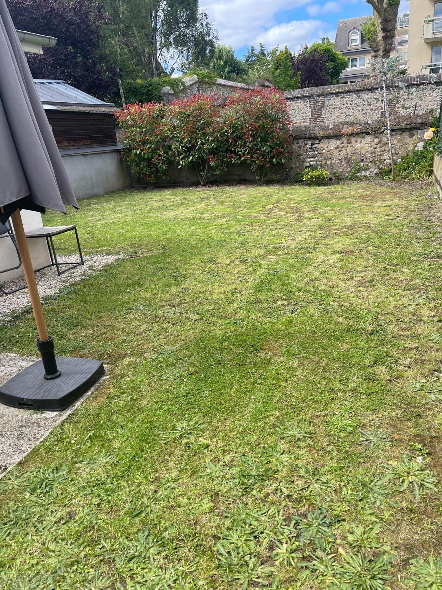 Le Nid Douillet : Superbe Appartement + Jardin Privatif Rouen Exteriér fotografie